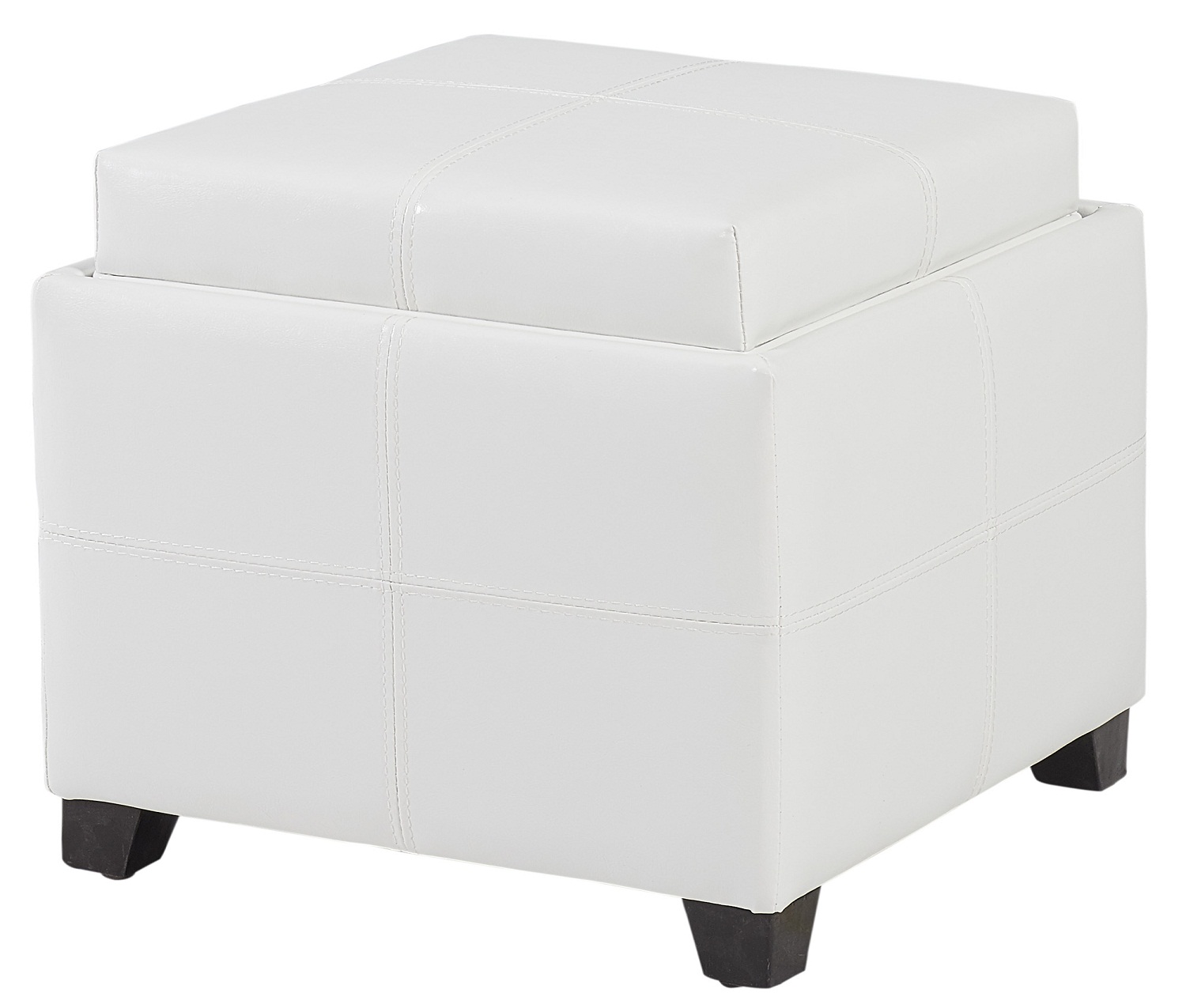 Contemporary Ottoman ANTON IIStorage Ottoman in White Transitional